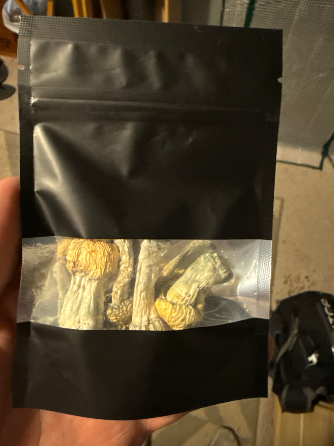 Customer photo review of Non Detect Mushroom Capsules - 50% Off