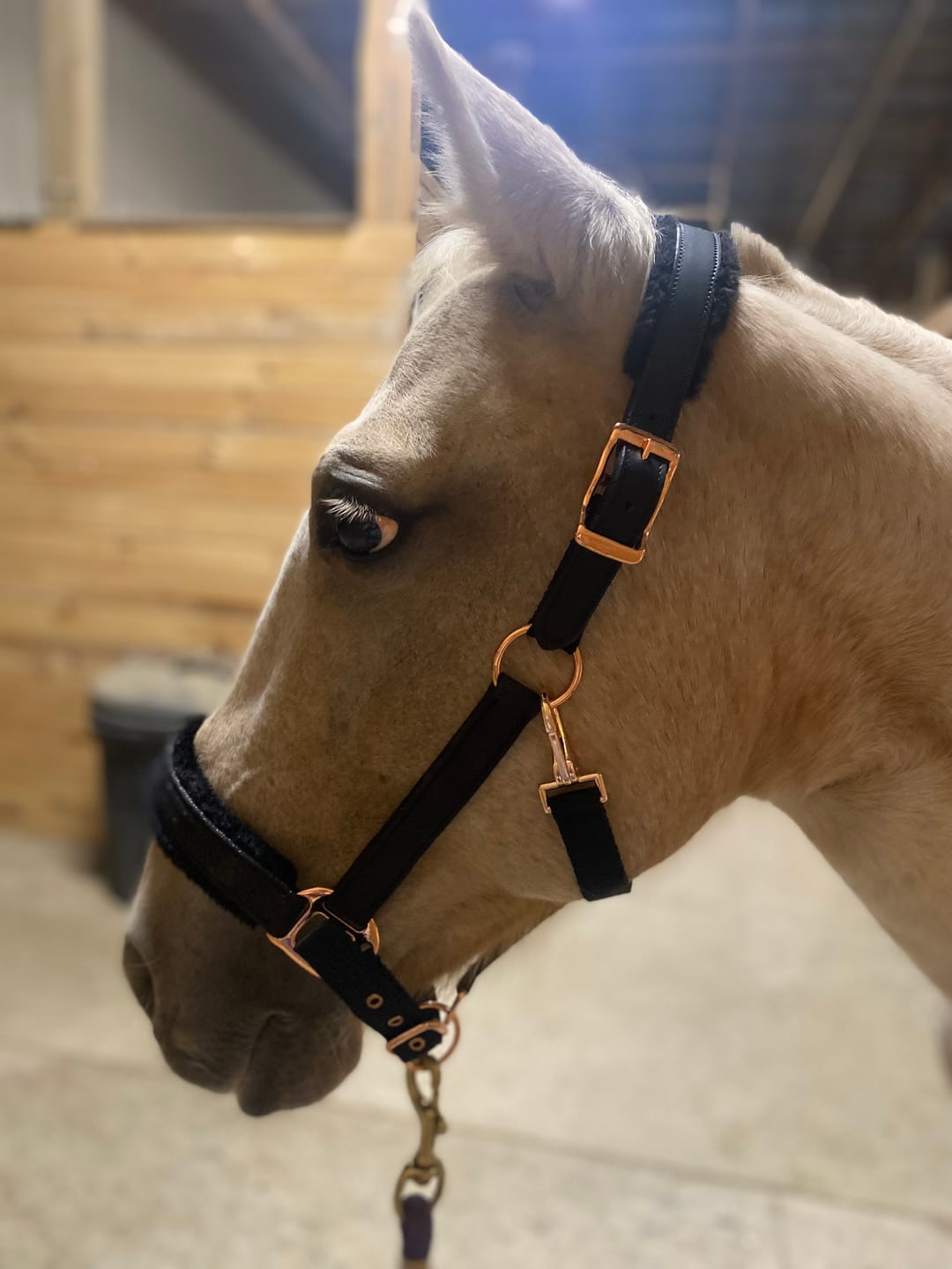 Customer photo review of Fantasia's Sparkle-Hybrid Halter