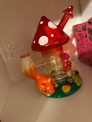 Customer photo review of Shroom Forest Fantasy Glass Dab Rig