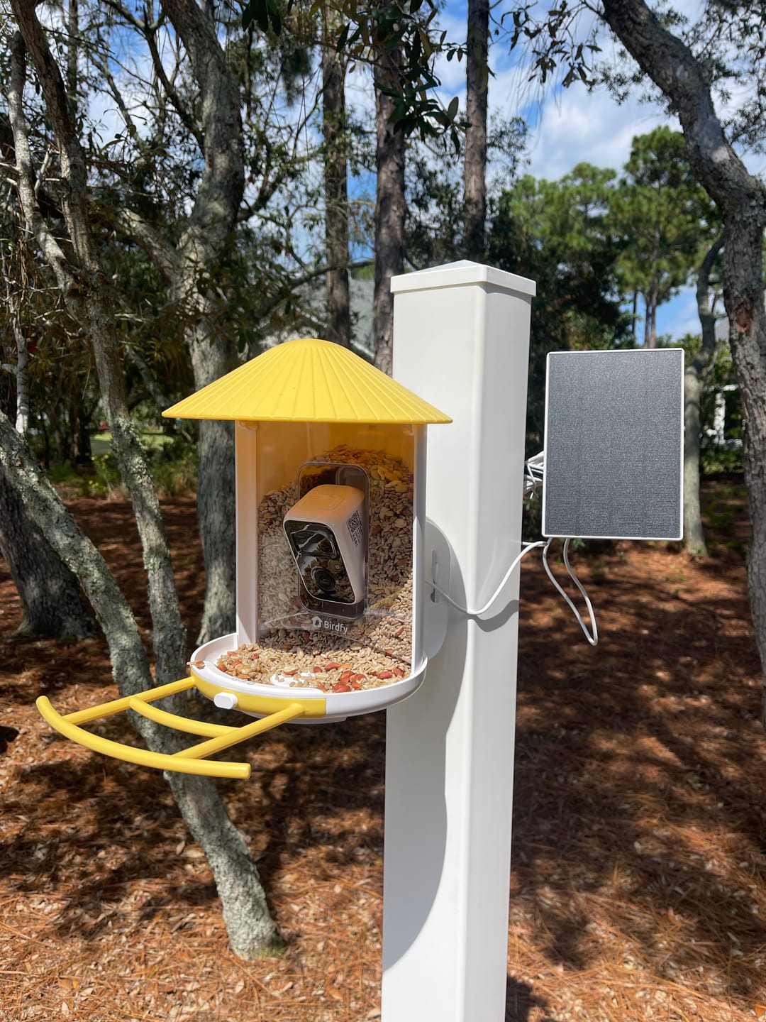 Customer photo review of Birdfy Feeder with Solar Panel - Solar-Powered Smart Bird Feeder with Camera