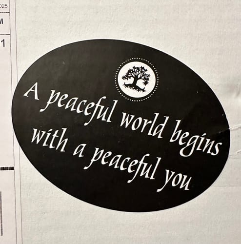 Customer photo review of 2026 Dreambook + Planner Bundles