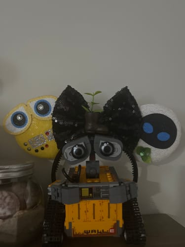 Customer photo review of Wall-e Mickey Ears