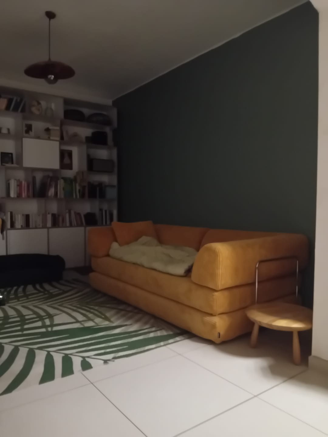 Customer photo review of Vantopia Sofa Bed