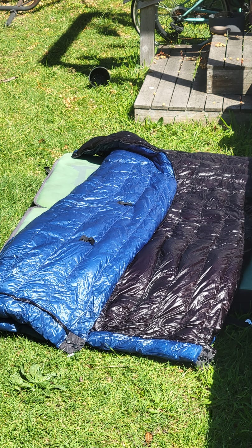 Customer photo review of Waratah