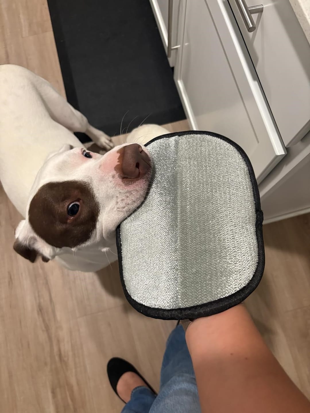 Customer photo review of Pet Hair Removal Glove with Dual-Sided Electrostatic Bristle