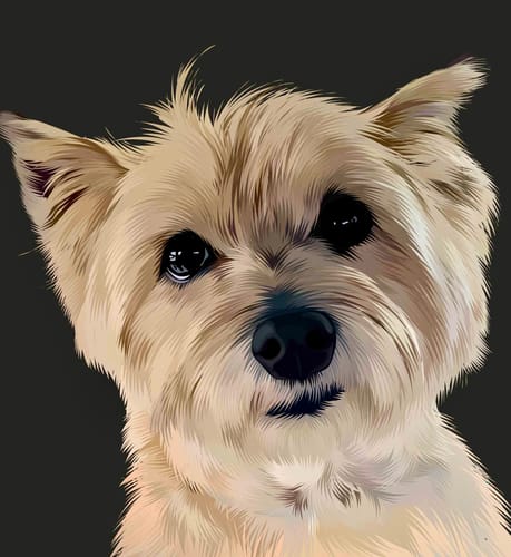Customer photo review of Pet Art Canvas Wrap