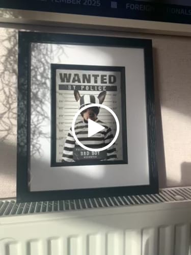 Customer video review of The Criminal: Custom Pet Portrait