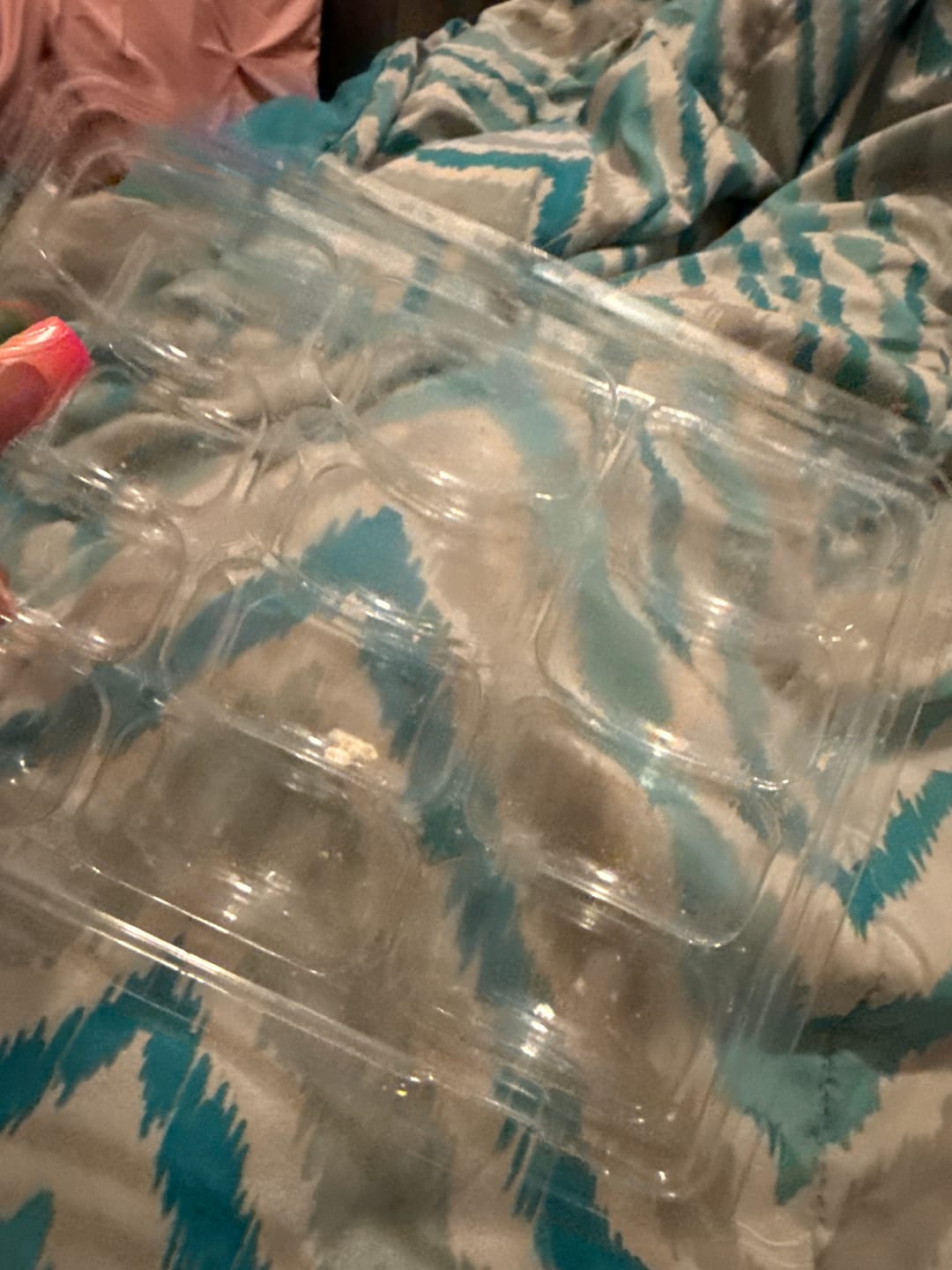 Customer photo review of 12 Pack
