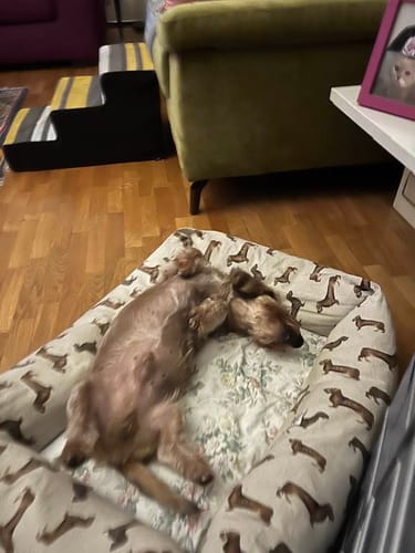 Customer photo review of Divanetto Cotone Scozzese Rosso