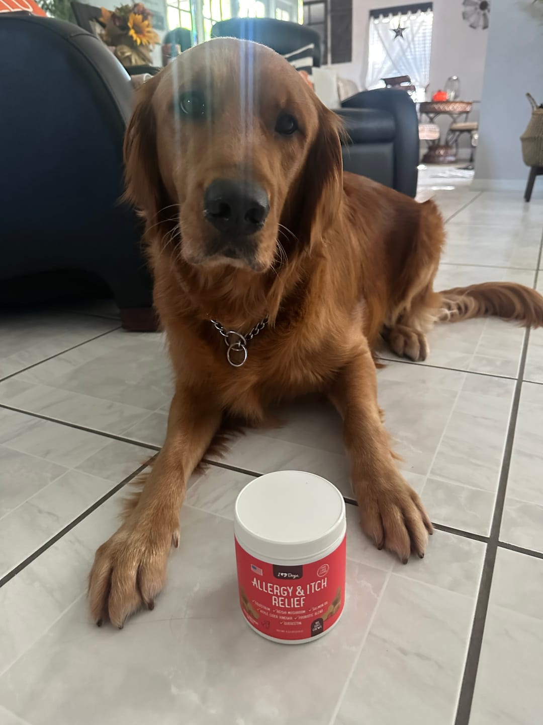 Customer photo review of BUY 2 BAGS & SAVE iHeartDogs Allergy & Itch Relief Chews for Dogs