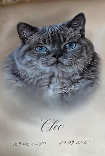 Customer photo review of Öl Pawtrait