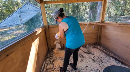 Customer photo review of GrubTerra Coop Refresher.