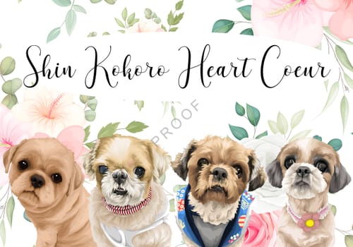 Customer photo review of Petcanva©オーダーメイド ブランケット