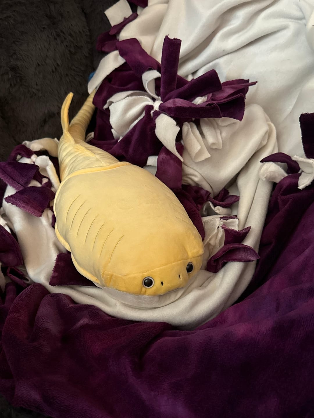 Customer photo review of Sacabambaspis Prehistoric Fish Soft Stuffed Plush Toy