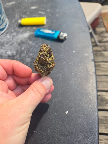 Customer photo review of Granddaddy Purple - 28 Grams - Indica