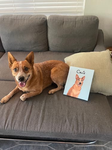 Customer photo review of Custom Hand-Drawn Cartoon Pet Portrait