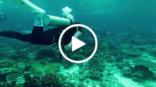 Customer video review of The KYDRA Crew Socks