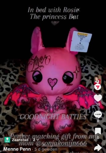 Customer photo review of Rosie the Bat Plushie