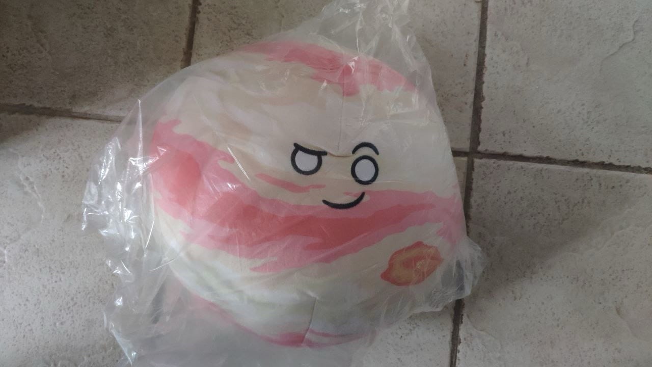 Customer photo review of The SolarBalls Jupiter Plush