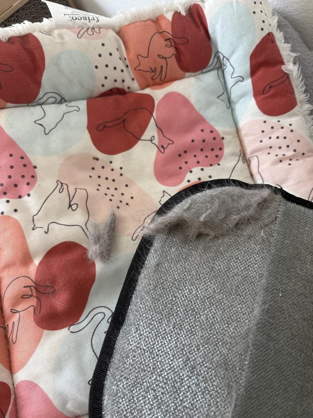 Customer photo review of Pet Hair Removal Glove with Dual-Sided Electrostatic Bristle