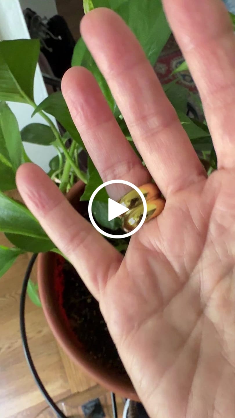 Customer video review of Birdie Stack Ring