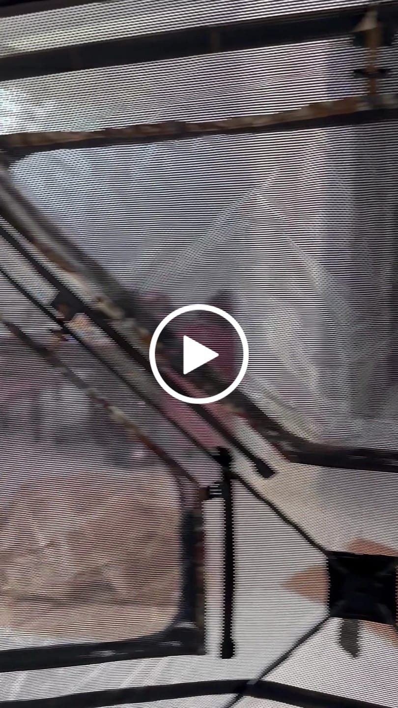 Customer video review of Vis360 See Through Silent 4 Full Panels Deer Hunting Blind