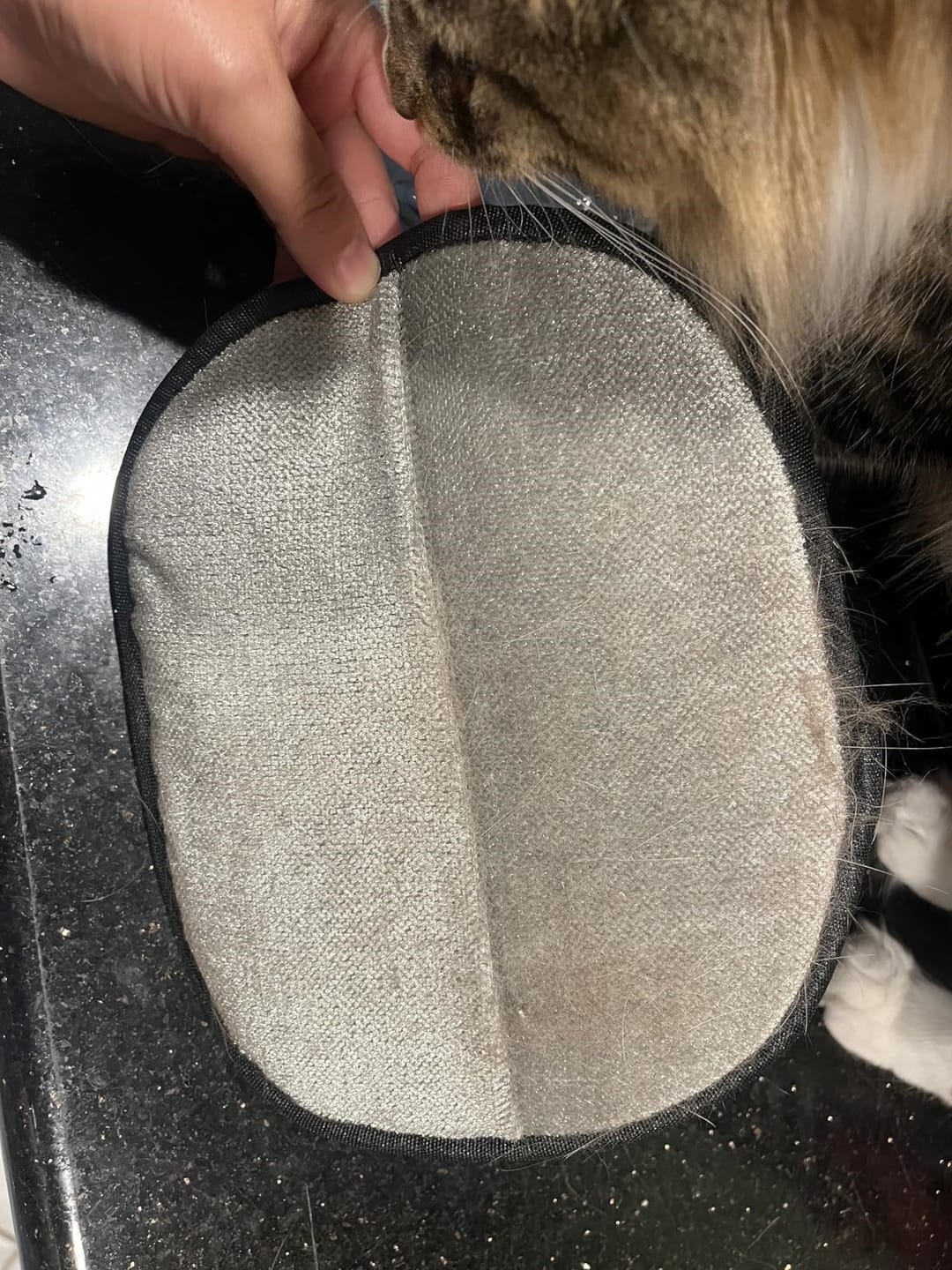 Customer photo review of Pet Hair Removal Glove with Dual-Sided Electrostatic Bristle