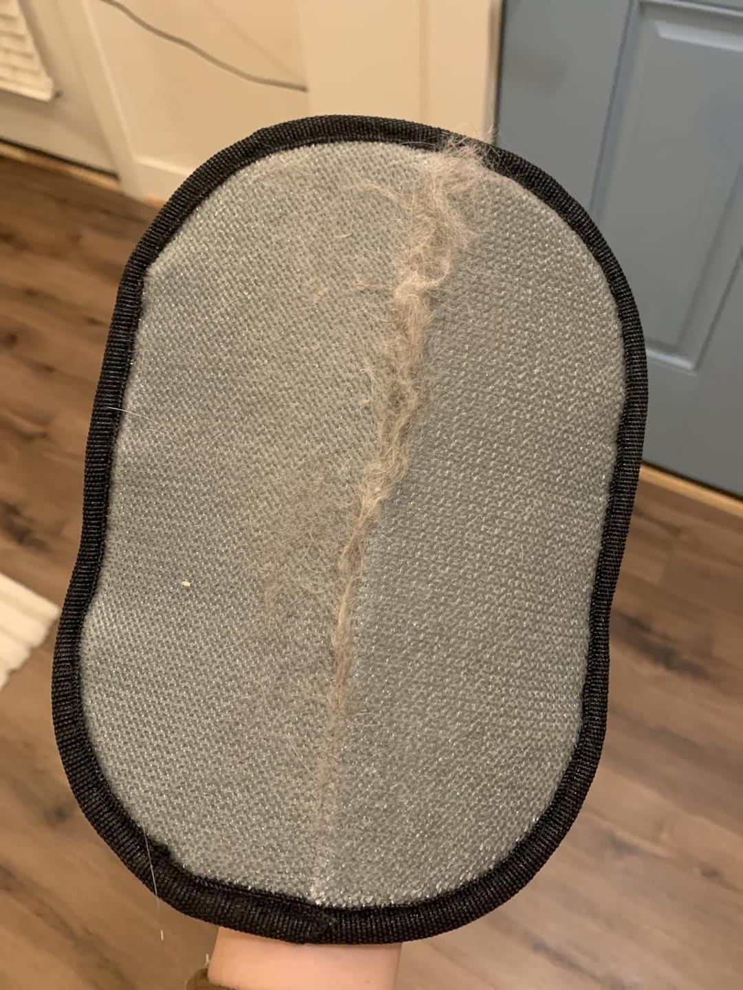 Customer photo review of Pet Hair Removal Glove with Dual-Sided Electrostatic Bristle
