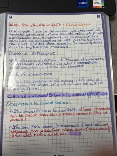 Avis photo d'un client sur Fiches de révision REVISION 2.0 OXFORD # 50 fiches 14,8 x 21 cm - petits carreaux