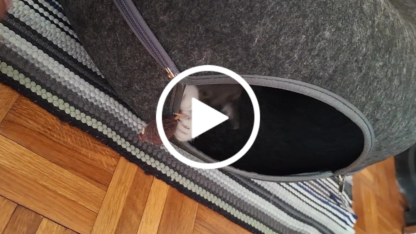 Customer video review of Tunel Krevet za Mačke