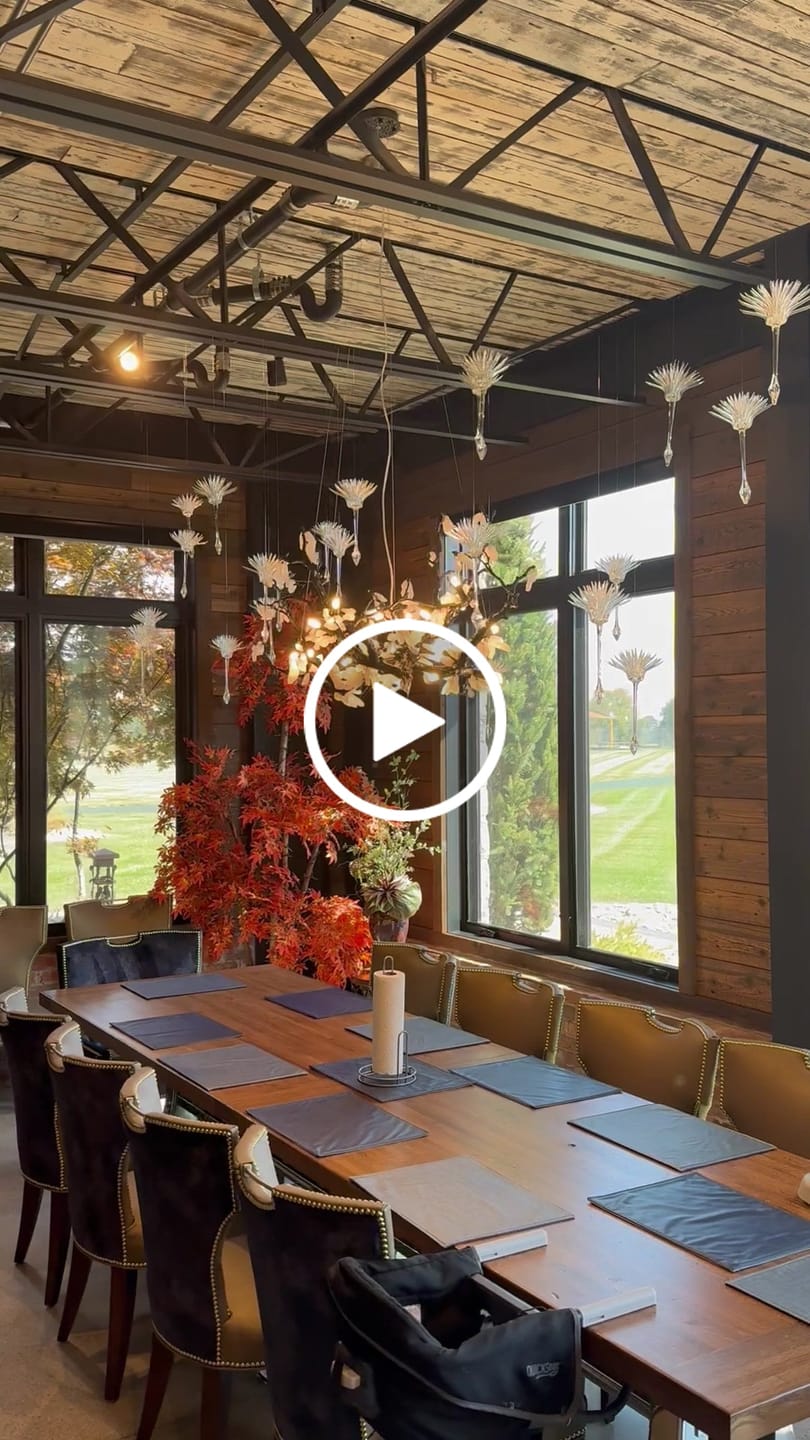 Customer video review of Alba Tree Branch Chandelier