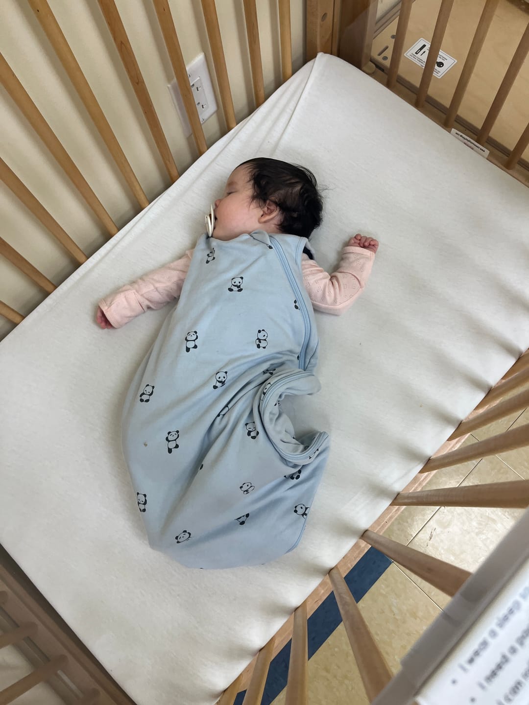 Customer photo review of 4 Season® Classic Baby Sleeping Bag, Merino Wool & Organic Cotton, Panda
