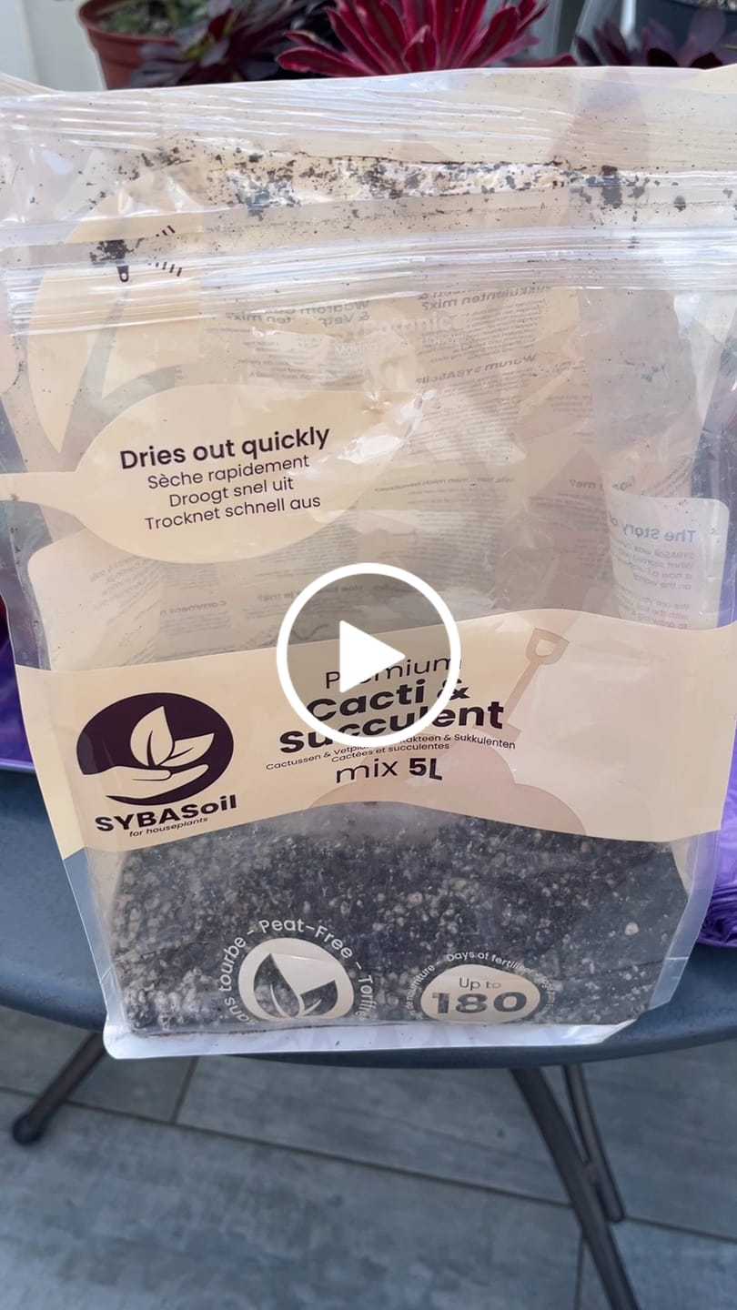 Customer video review of Cacti & Succulent Mix