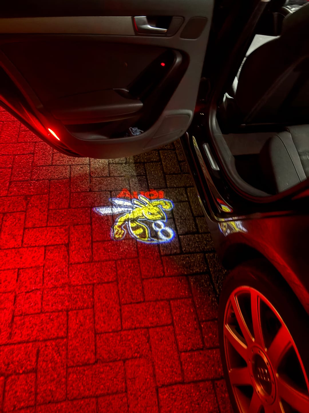 Customer photo review of Customizetion Designs for  logo door lights