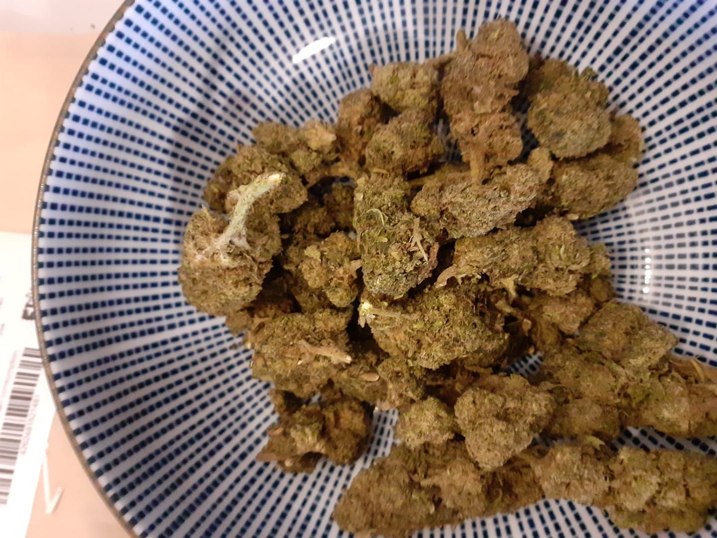 Customer photo review of Vollis Turbobud - SATIVA TURBO LVL 5/5
