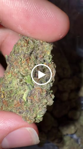 Customer video review of Venom OG - Bulk - Indica