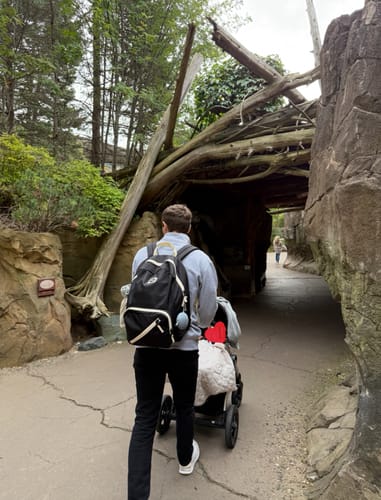 Customer photo review of Tommy Pack Black