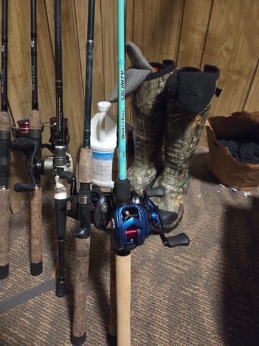 Customer photo review of Waterloo Laguna Green Salinity