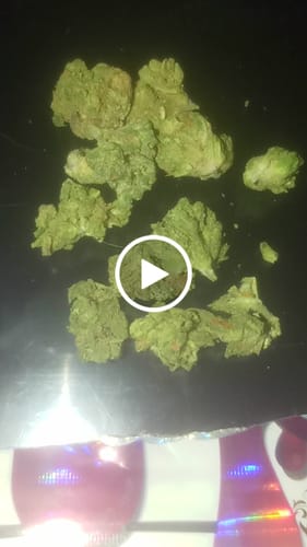Customer video review of Greenhouse Smalls