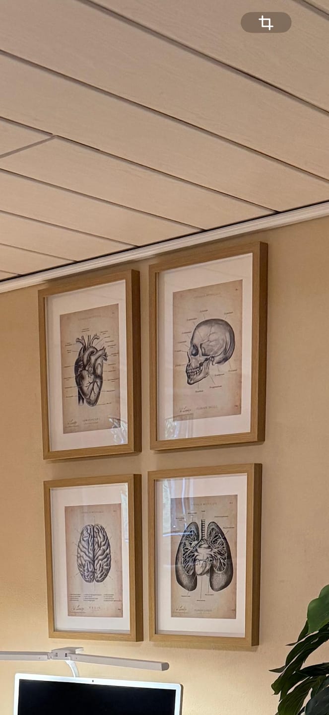 Customer photo review of Schädelknochen Anatomie