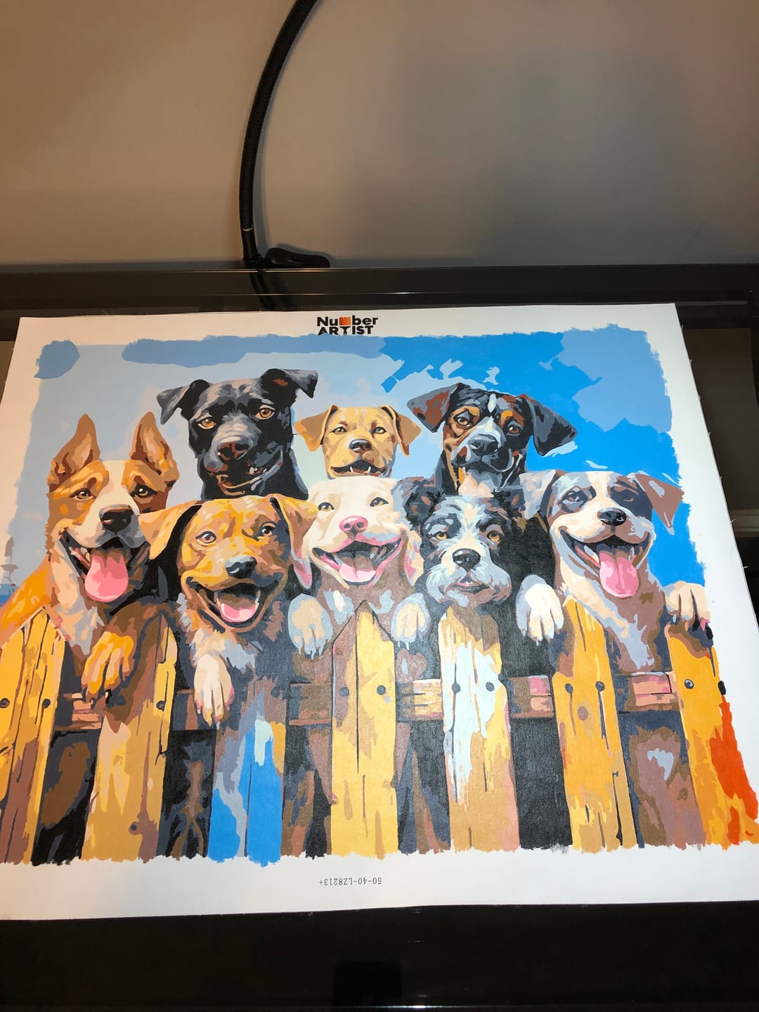 Customer photo review of Dog Days of Summer