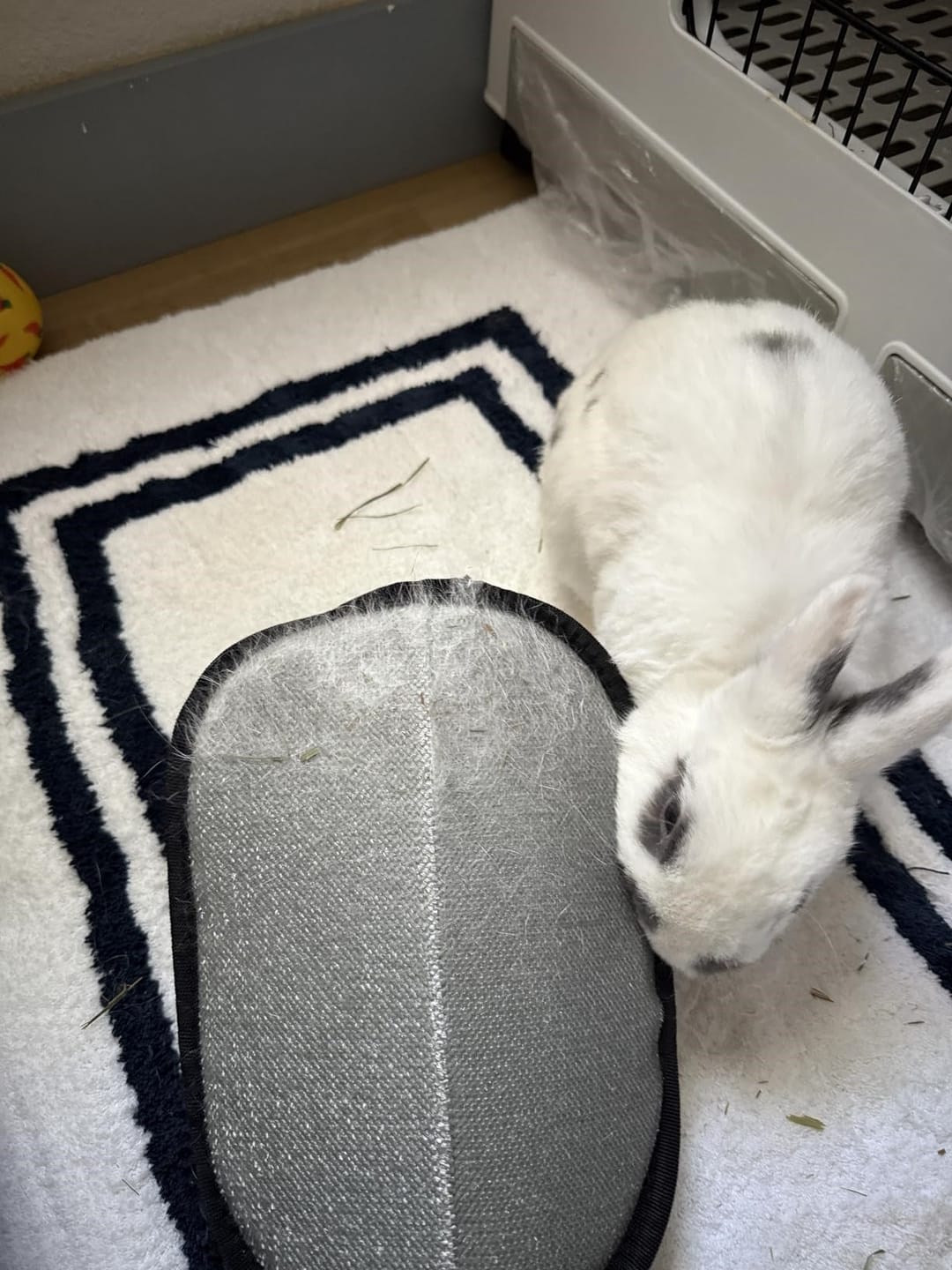 Customer photo review of Pet Hair Removal Glove with Dual-Sided Electrostatic Bristle