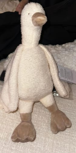 Customer photo review of Soft Toy Welcome to the World Duckling