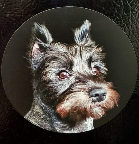 Customer photo review of Your photo - Personalized Car Magnet