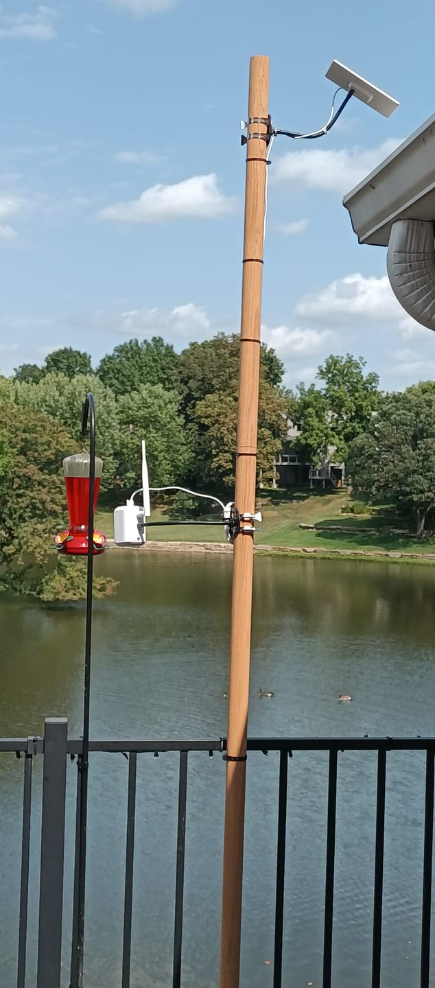 Customer photo review of Birdfy Cam - Versatile Standalone Backyard Birdwatching Camera