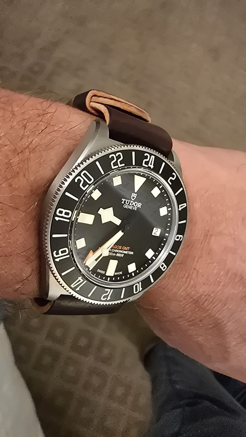 Customer photo review of Safari Shell Cordovan Single-Pass Strap - NEW