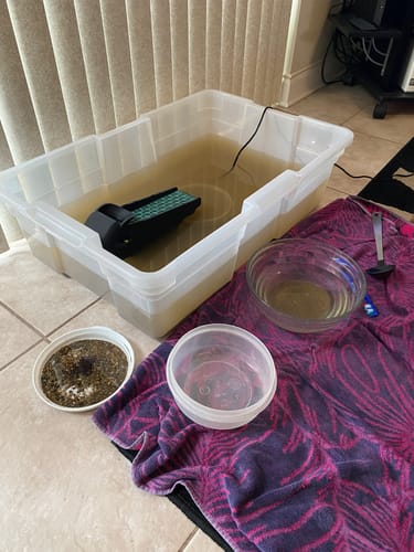 Customer photo review of Gold Clean Up Buddy - Dream Mat Exclusive Sluice Box | Gold Prospecting Equipment
