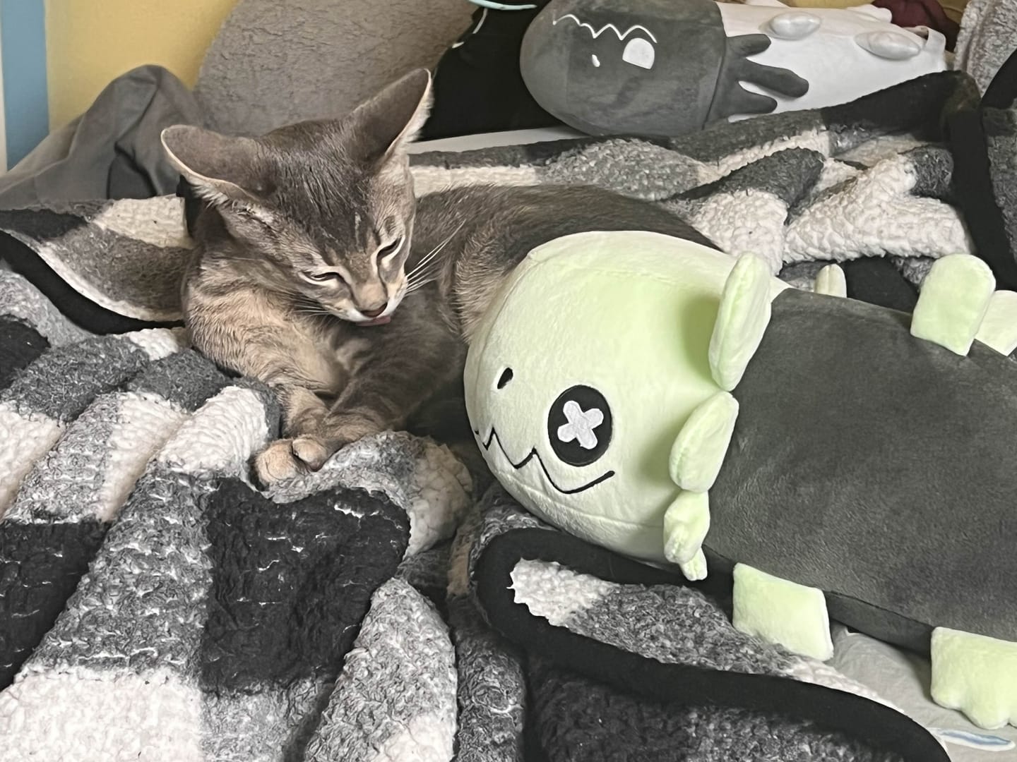 Customer photo review of Rain World - Glowing Green Lizard Plush
