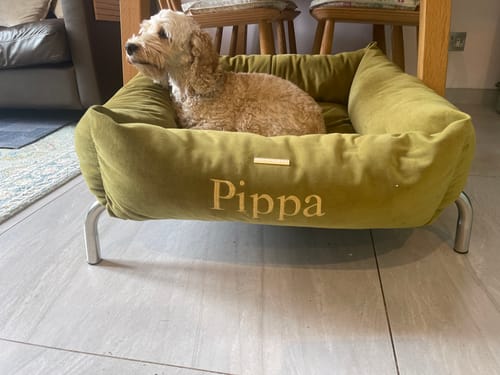 Margaret N. review of HiK9 Bed with Olive Mesh Cover image 1 out of 1