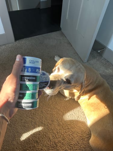 Customer photo review of Chilled Mint Nicotine Pouches